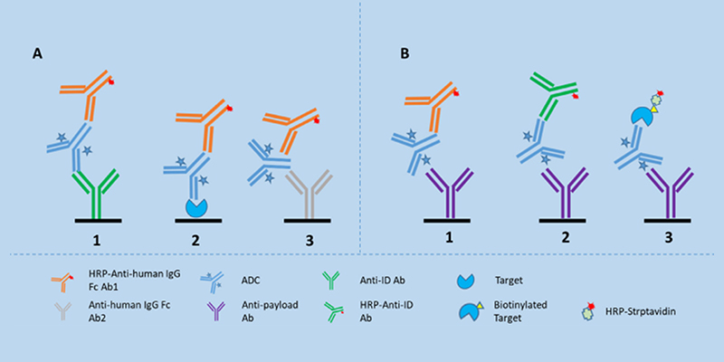 Verschiedene LBA-Formate zur Analyse von ADCs in Serum