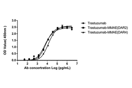 Preserved immunoreactivity after conjugation