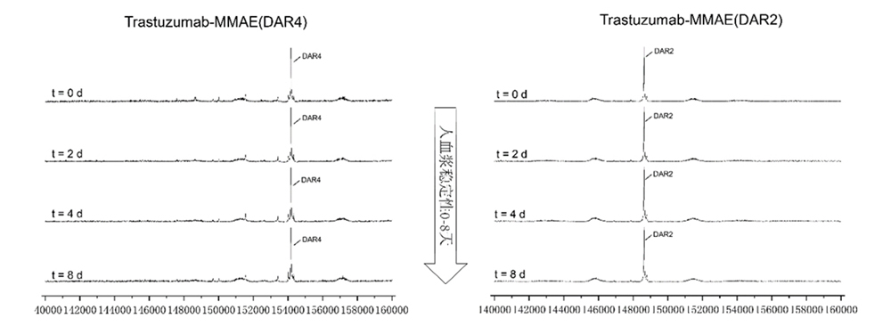 The conjugates have high in-vitro plasma stability