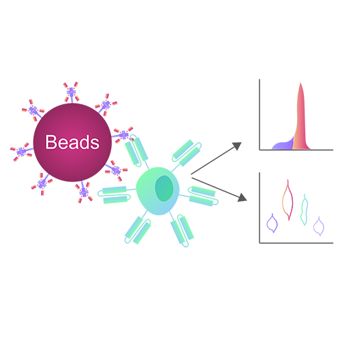 Popular Applications of Target-specific Activation Beads