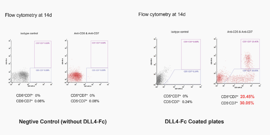 DLL4-Fc coated plate supports CD5+CD7+ T-cell progenitor differentiation from CD34+ HSPC