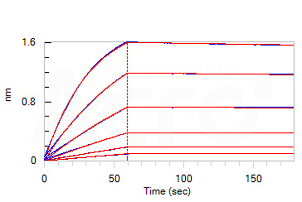 ILB-H52W5-B2