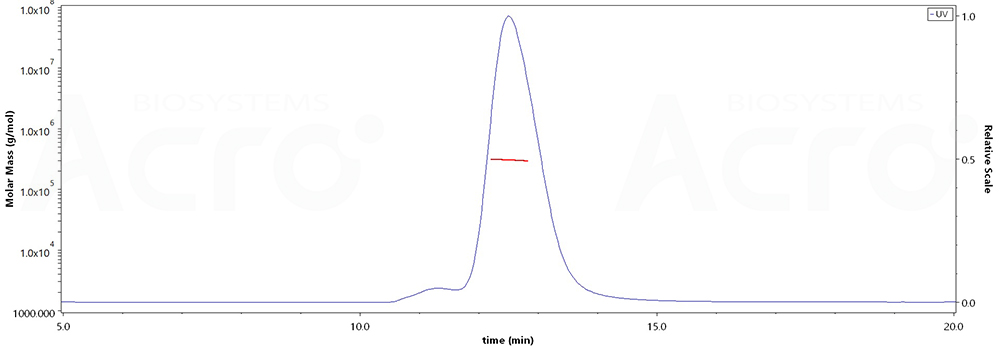 Glycoprotein B/gB (EBV)