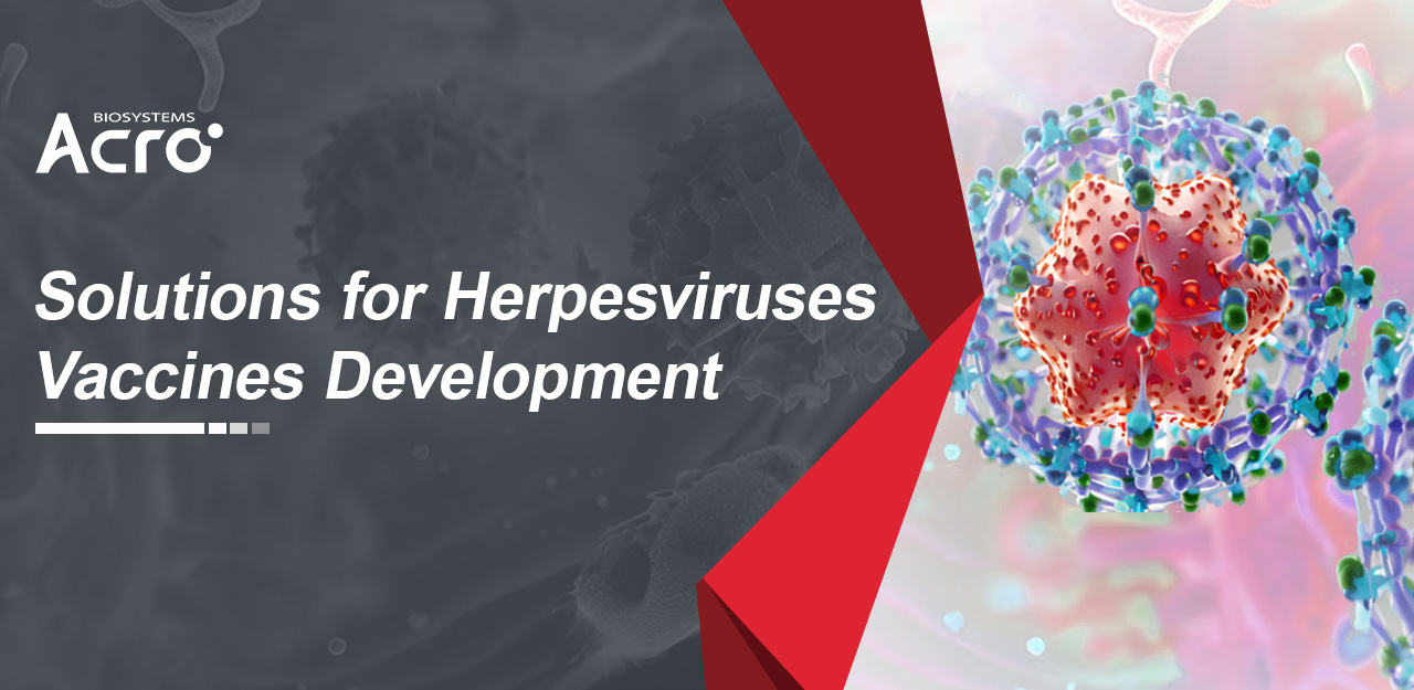 Herpesvirus Vaccines Development