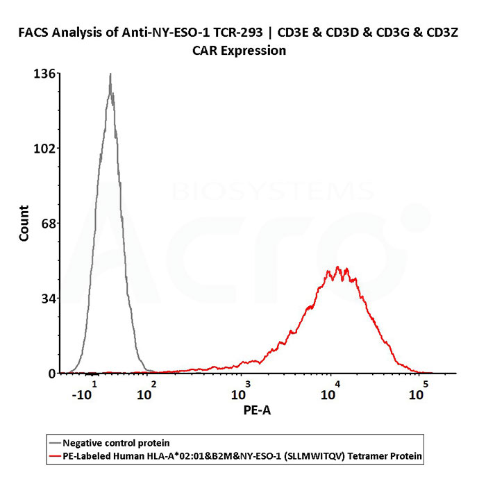 Cell Binding Activity – FACS, Flow Cytometry