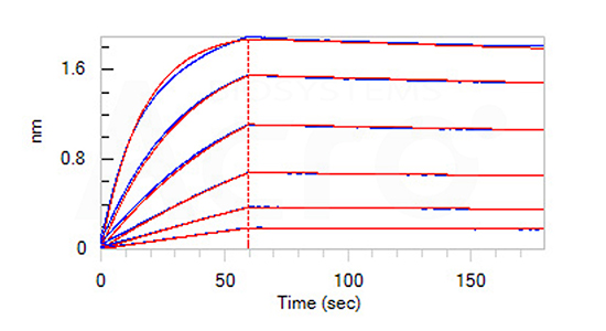 IL3-H82E5