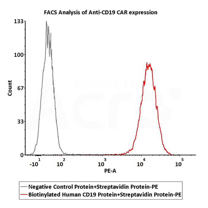 Anwendungsdaten für PE-markiertes SA-Protein (FACS)