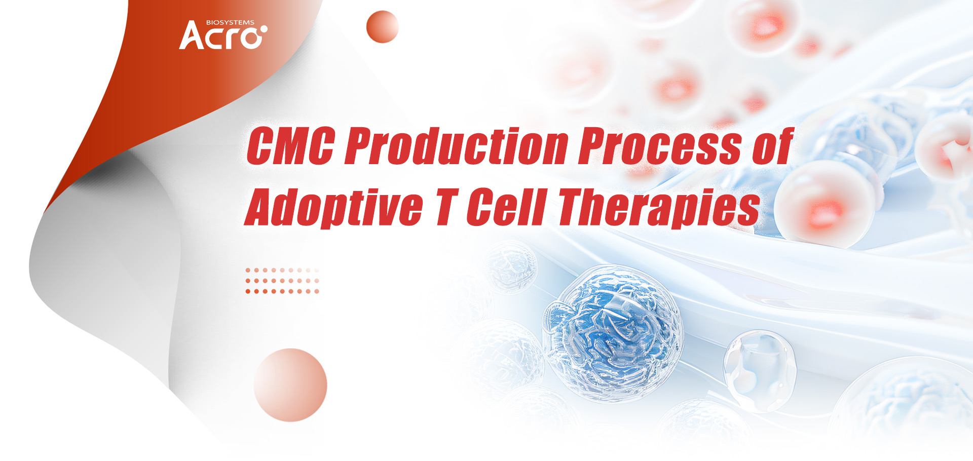 CMC Production Process of Adoptive T Cell Therapies