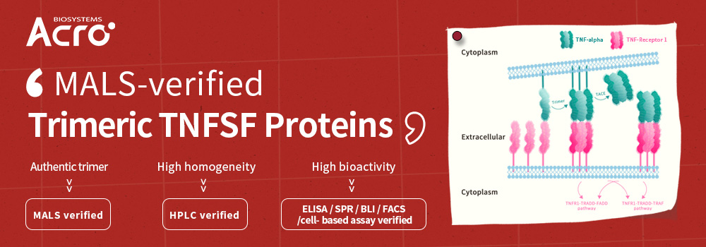 TNFSF-Proteine: MALS-geprüftes authentisches Trimer