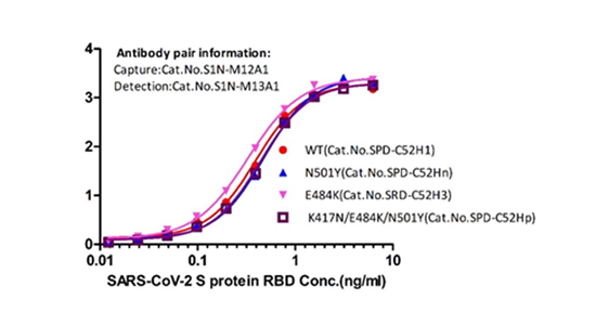 Anti-Spike Antibody Pair