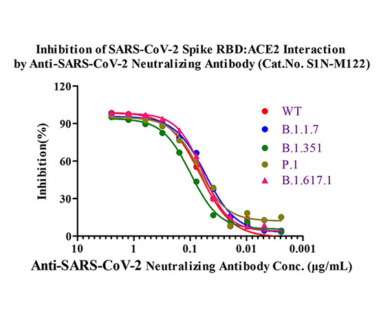 Broad-spectrum neutralizing antibody