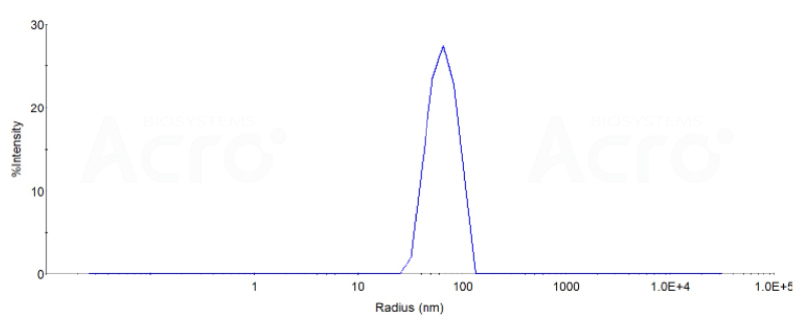 scattering （DLS）