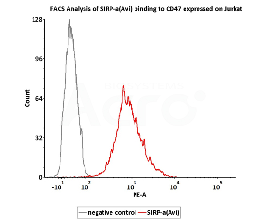 scattering （DLS）