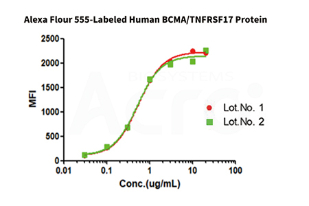 AF555-BCMA  batch-to-batch consistency verified by FACS