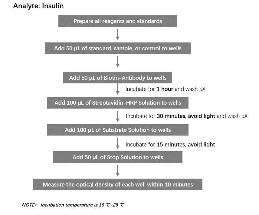  Insulin Workflow