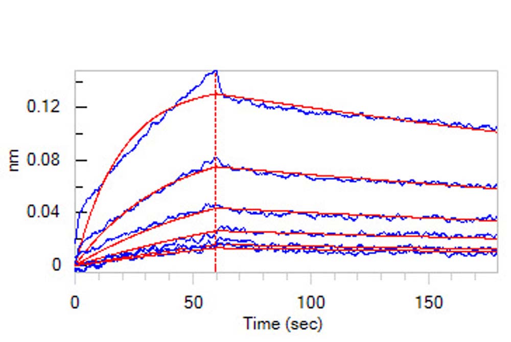  Integrin alpha 3 beta 1 BLI