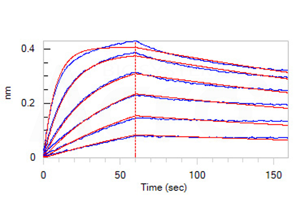  PCSK9 BLI