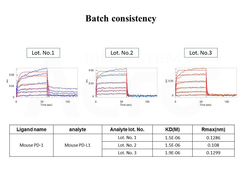  PD-L1 BATCH BLI