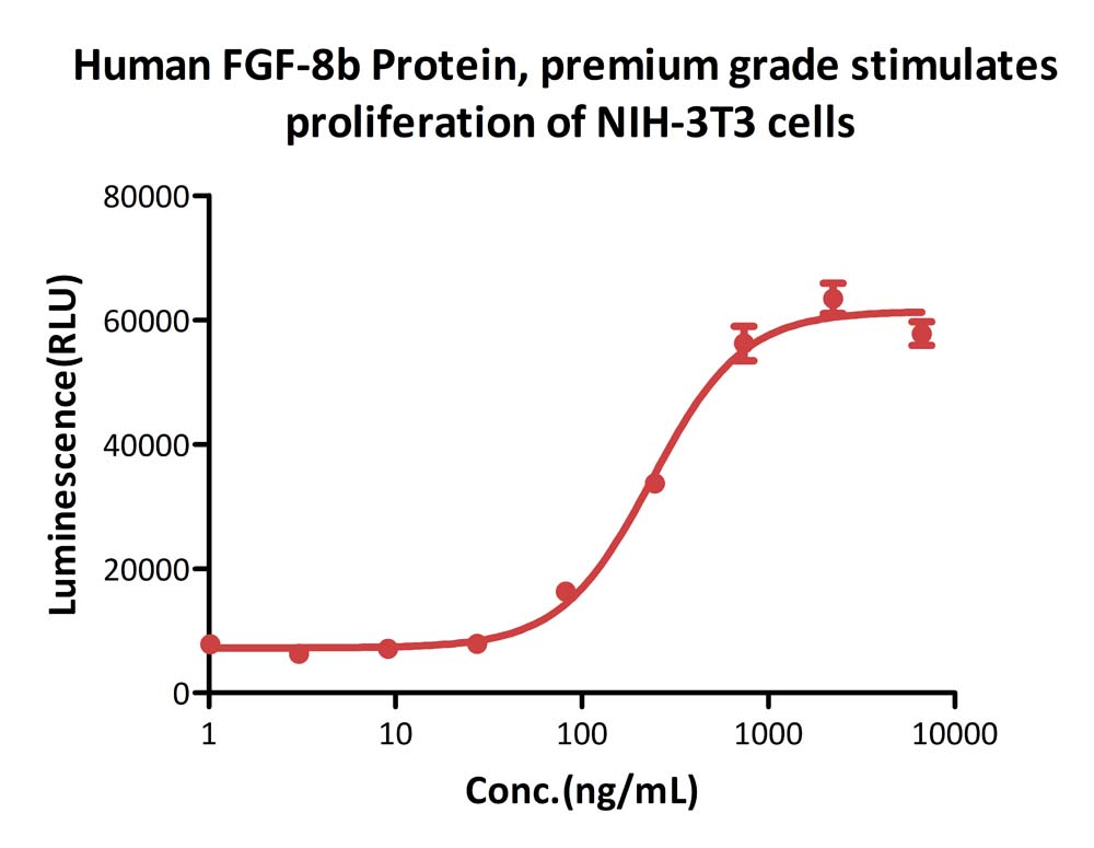  FGF-8b CELL