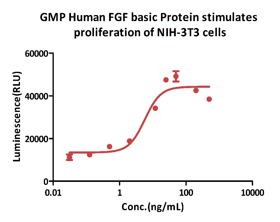  FGF basic CELL