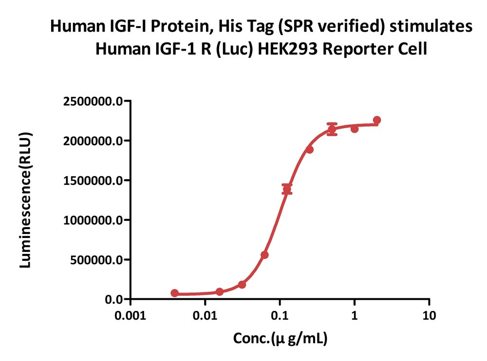  IGF-I CELL