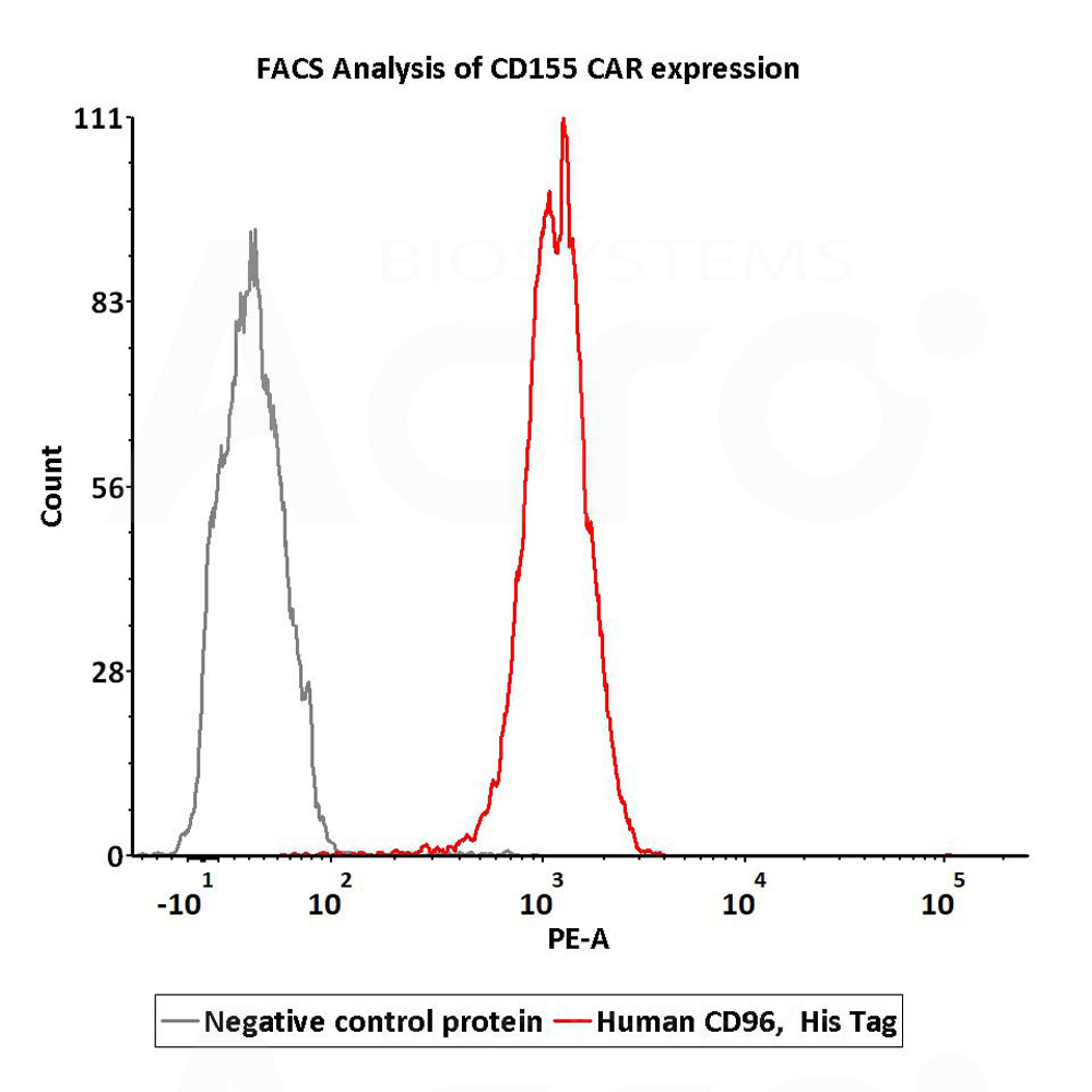 Human FcRn Heterodimer Protein Cell_Base