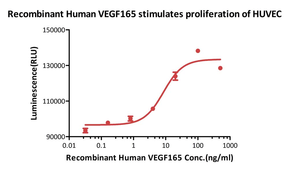  VEGF165 CELL