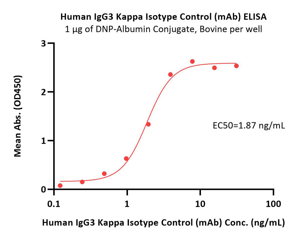  IgG control ELISA