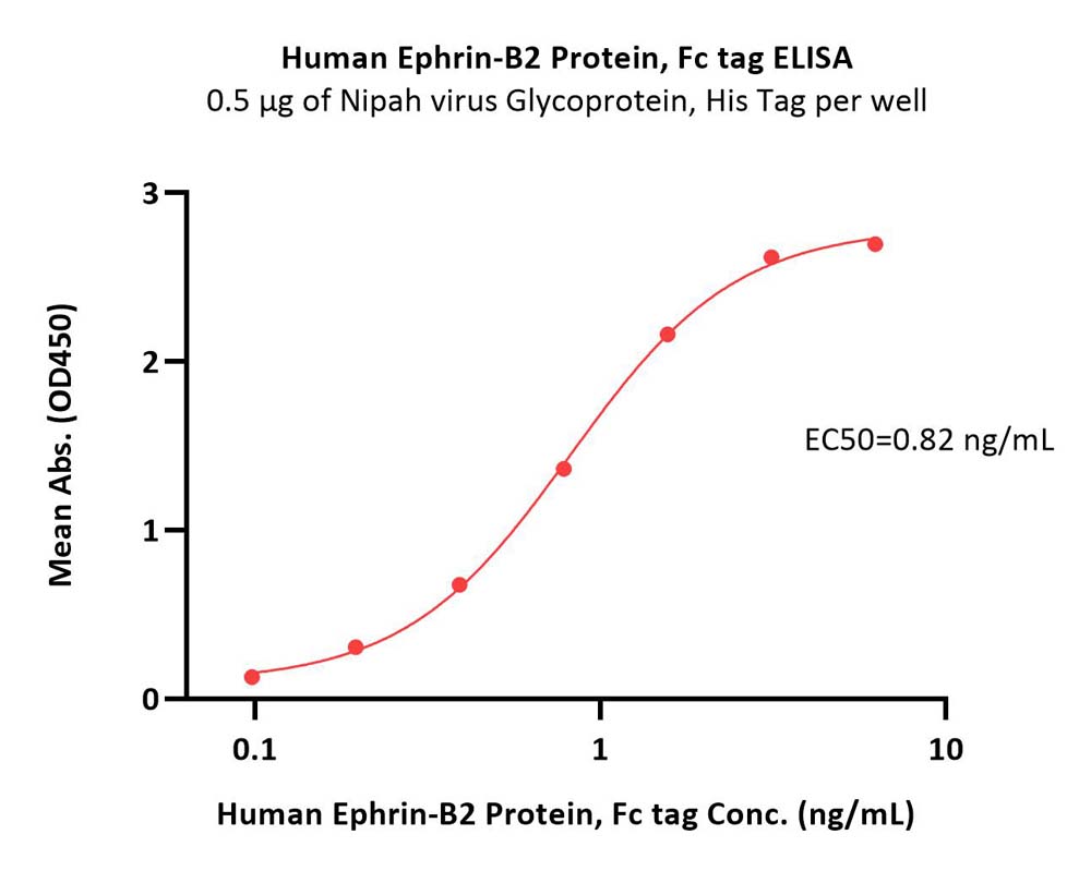  Ephrin-B2 ELISA