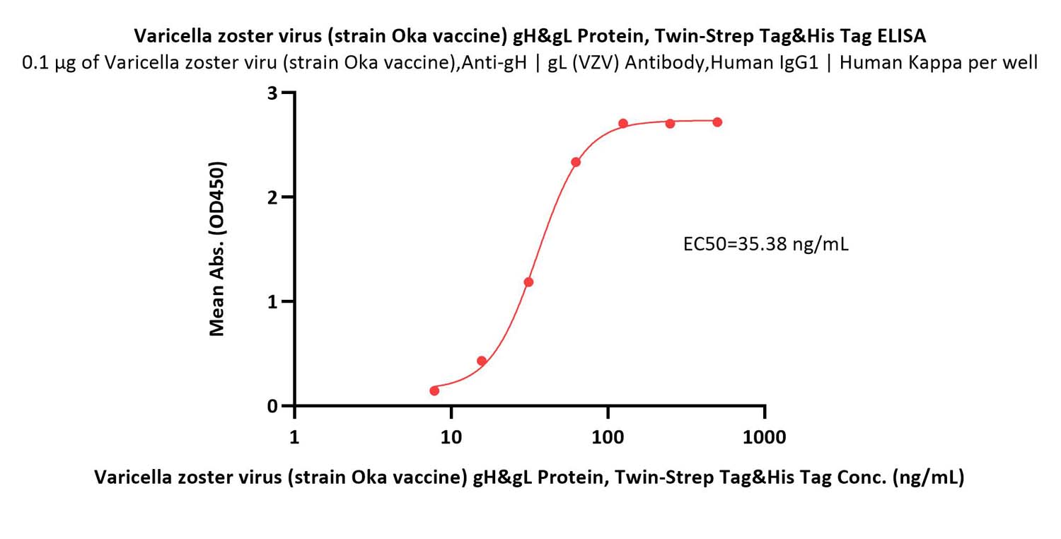  Glycoprotein H & Glycoprotein L/gH & gL (VZV) ELISA