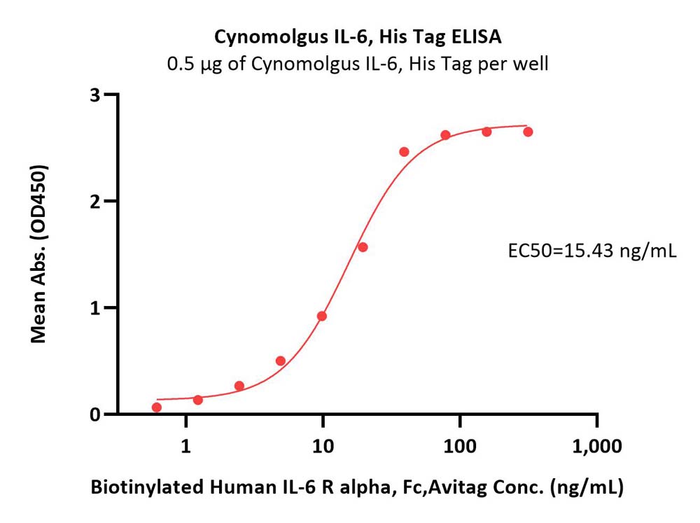  IL-6 ELISA