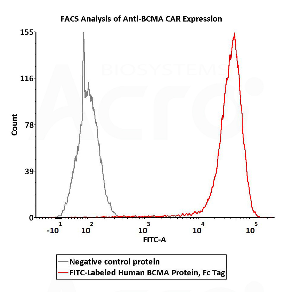  BCMA FACS