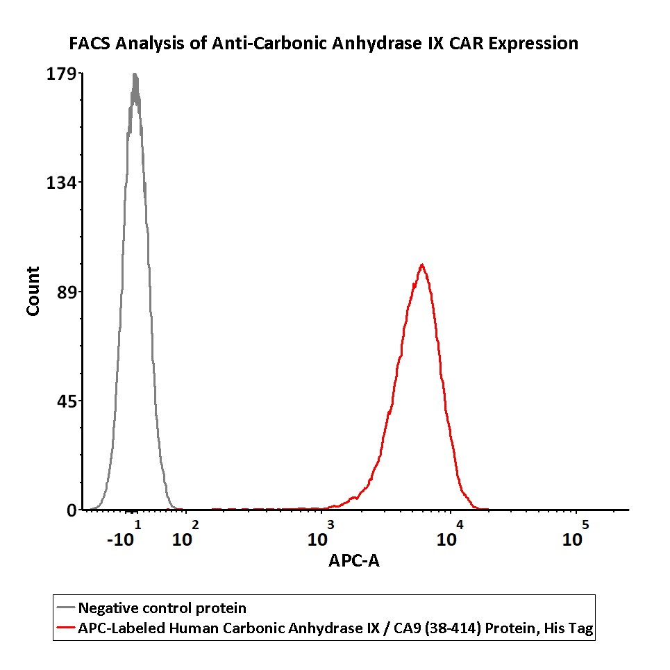  Carbonic Anhydrase IX FACS