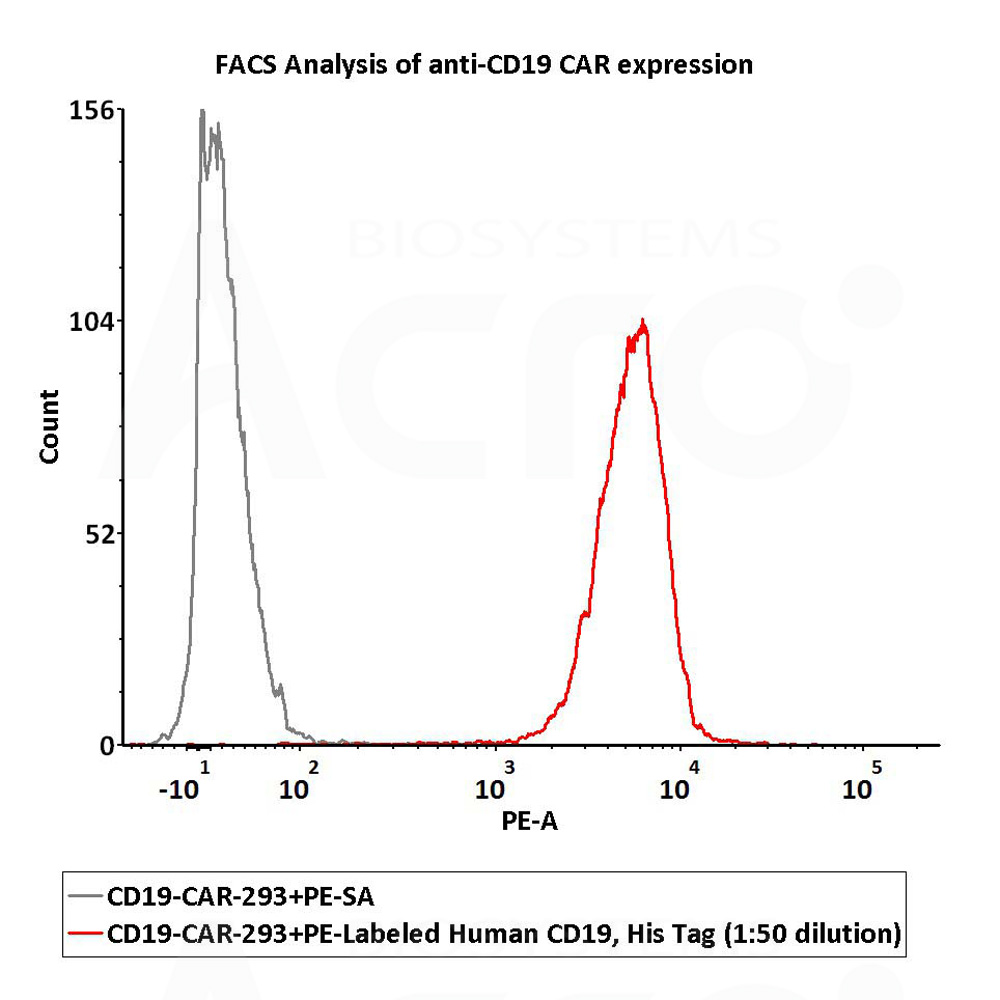  CD19 FACS