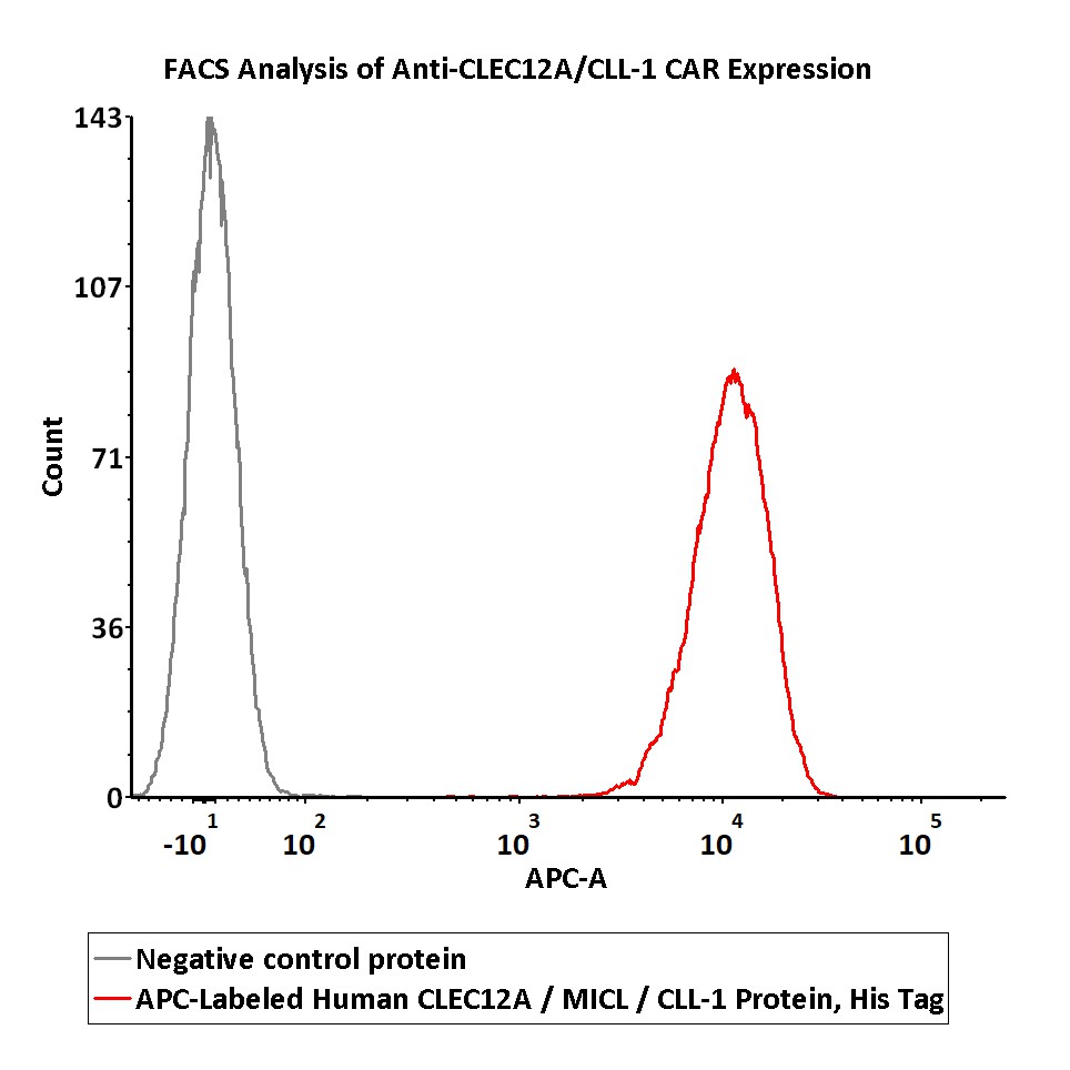  CLEC12A FACS