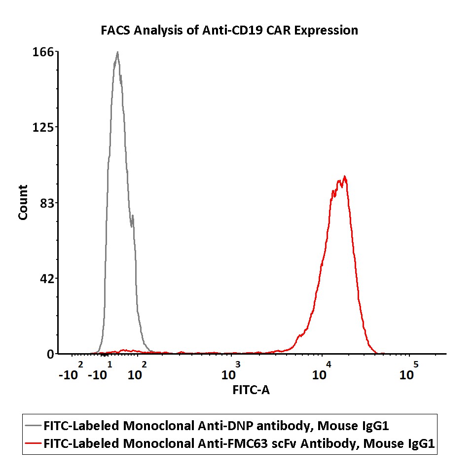  IgG control FACS