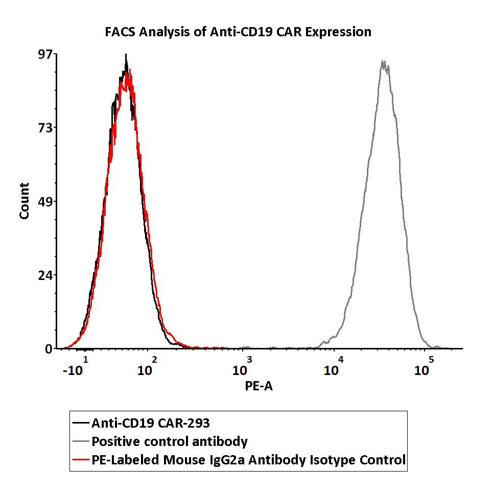  IgG control FACS