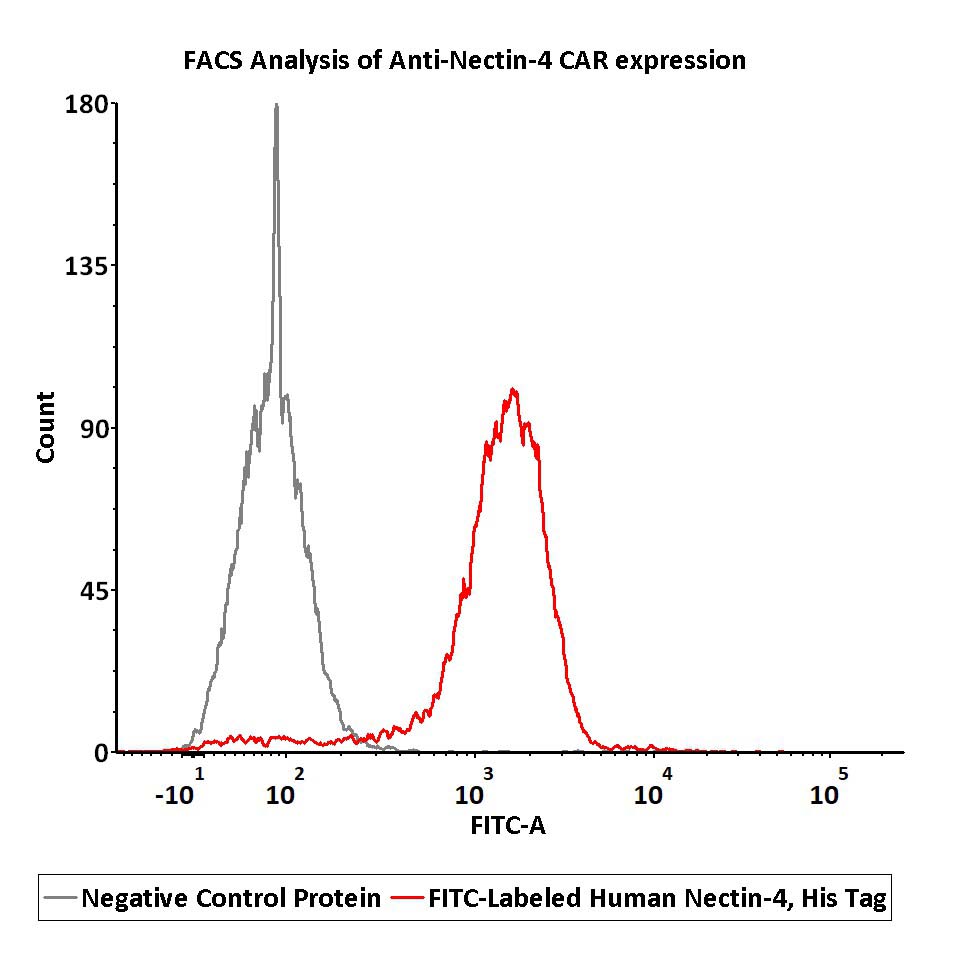 FACS assay shows that recombinant Biotinylated FACS