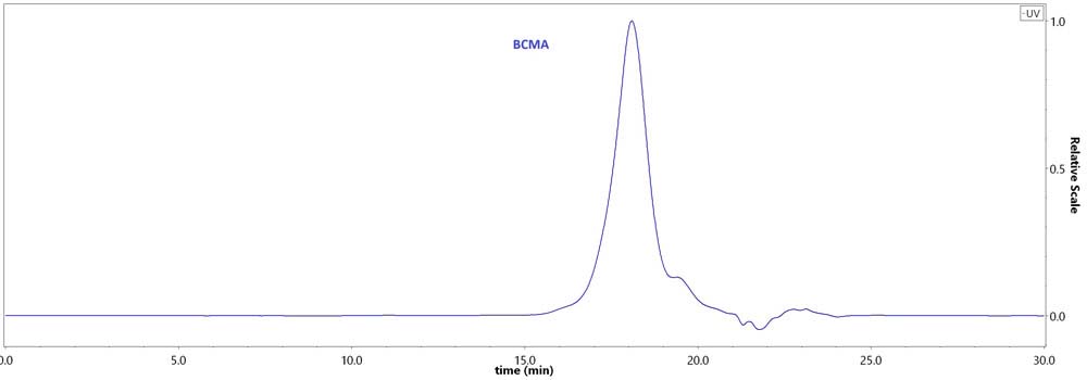 BCMA SEC-HPLC