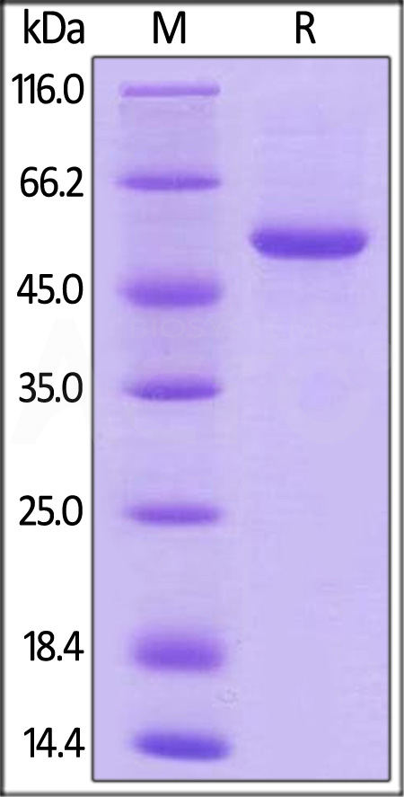 41L-H82F9-sds