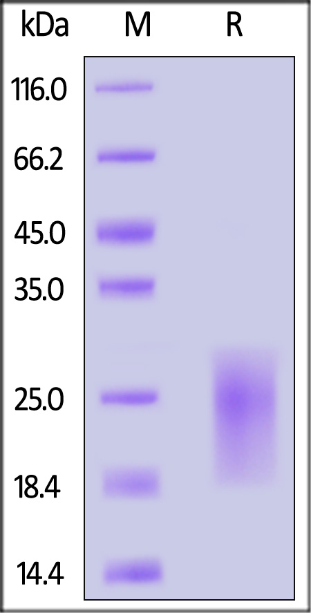 AL1-H5228-sds