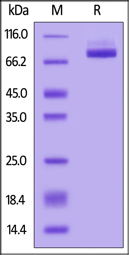 AP2-M52H9-sds