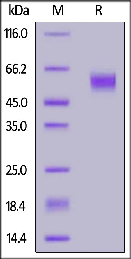 B77-H82E3-sds