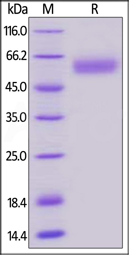 BTA-H82F3-sds