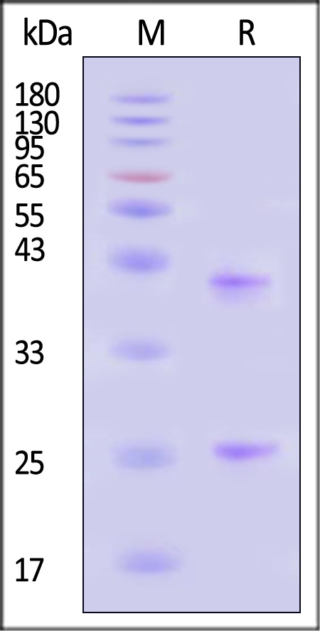 CD0-H82E3-sds