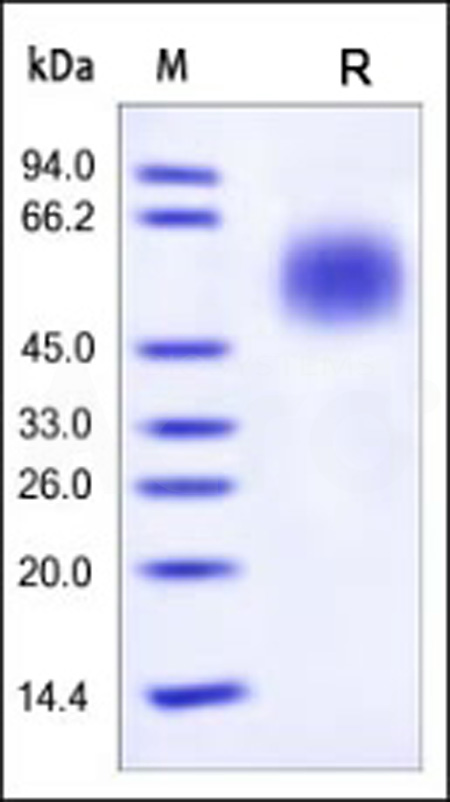 CD5-H5225-sds