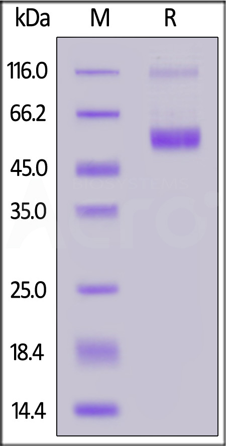 CD7-HF26x-sds