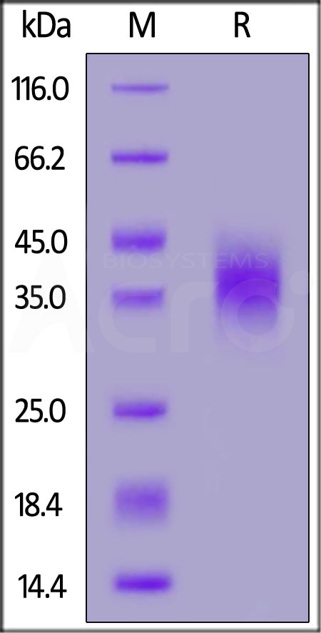 CD7-HF2H3-sds