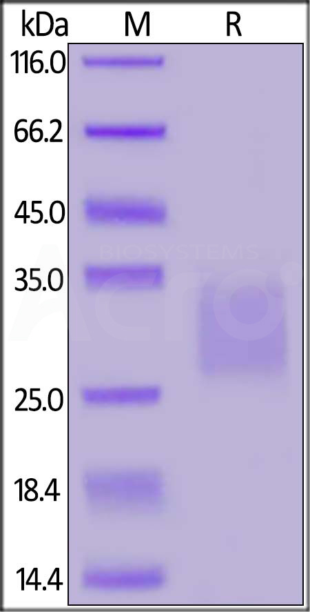 CD7-HF2H6-sds