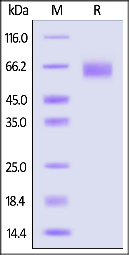 CD7-M82F5-sds